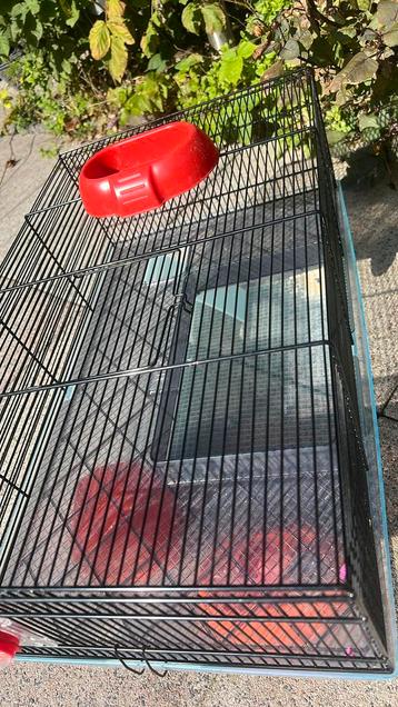 Hamster kooi beschikbaar voor biedingen