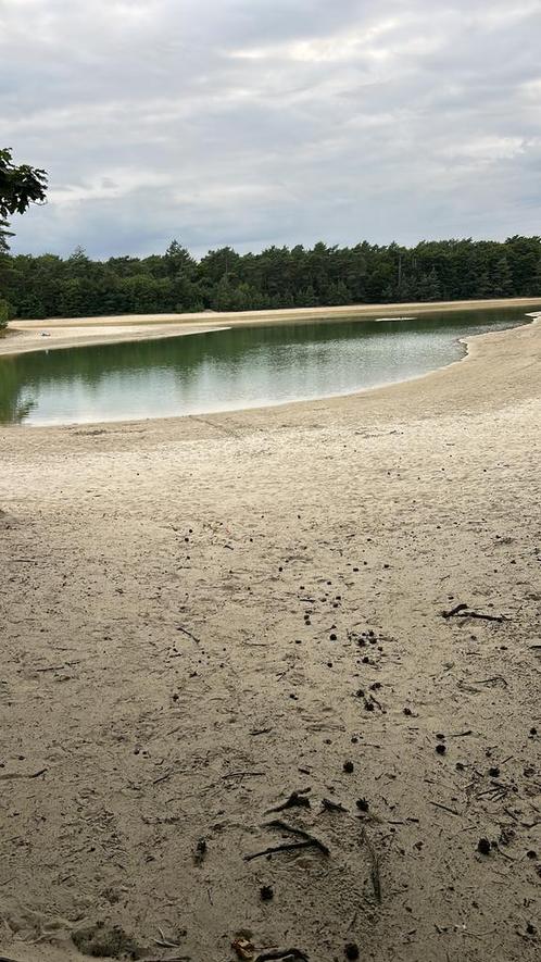Hulp aangeboden, Dieren en Toebehoren, Stalling en Weidegang