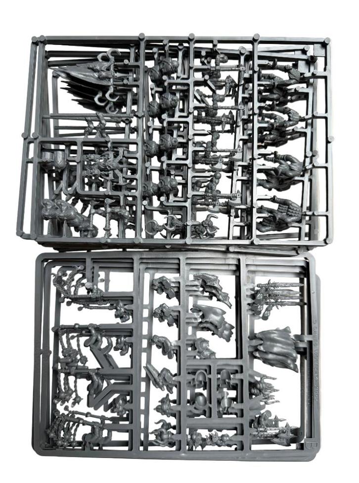 Warhammer Fantasy Chaos Marauders, Hobby en Vrije tijd, Wargaming, Zo goed als nieuw, Warhammer, Ophalen of Verzenden