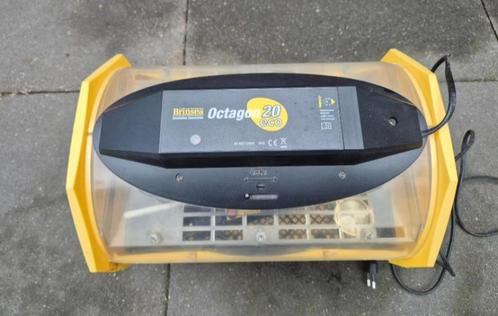 Broedmachine Brinsea Octagon ( vol automatisch  ), Dieren en Toebehoren, Pluimvee | Toebehoren, Zo goed als nieuw, Broedmachine