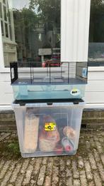 Hamsterkooi met toebehoren, Dieren en Toebehoren, Knaagdieren en Konijnen | Hokken en Kooien, Kooi, Gebruikt, Minder dan 75 cm
