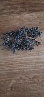 Dadeltakje 23 cm, Ophalen of Verzenden