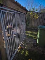 Hondenren deel te koop, Dieren en Toebehoren, Ophalen, Gebruikt, 110 cm of meer, 100 cm of meer