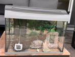 Aquarium Tetra 60l, Ophalen, Gebruikt