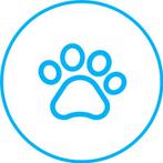 Dierenoppas eindhoven, Telecommunicatie, Prepaidkaarten en Simkaarten, Ophalen, Zo goed als nieuw, Overige providers
