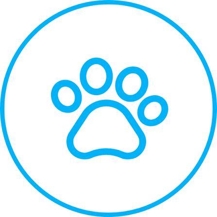 Dierenoppas eindhoven, Telecommunicatie, Prepaidkaarten en Simkaarten, Zo goed als nieuw, Overige providers, Ophalen