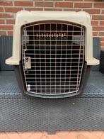 Reisbox voor kleine dieren, Dieren en Toebehoren, Ophalen, Gebruikt