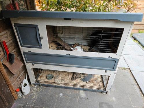 Konijnenhok met konijn, Dieren en Toebehoren, Knaagdieren en Konijnen | Hokken en Kooien, Zo goed als nieuw, Hok, 90 cm of meer