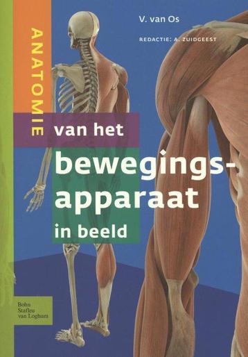 Anatomie van het bewegingsapparaat in beeld. beschikbaar voor biedingen