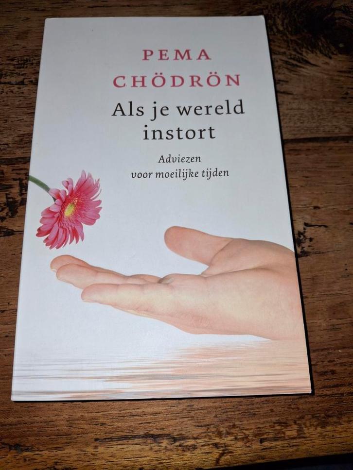 Pema Chodron - Als je wereld instort, Boeken, Esoterie en Spiritualiteit, Zo goed als nieuw, Achtergrond en Informatie, Spiritualiteit algemeen