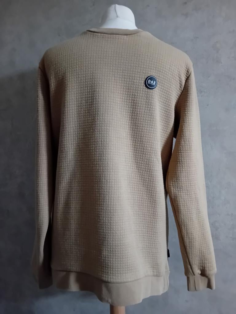 Leuke sweater!, Maat 48/50 (M), Beige, Ophalen of Verzenden, DAZ