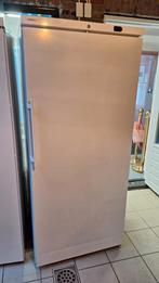 Liebherr Diepvries Horeca, Vrieskast, Zo goed als nieuw, Energieklasse A of zuiniger, 160 cm of meer