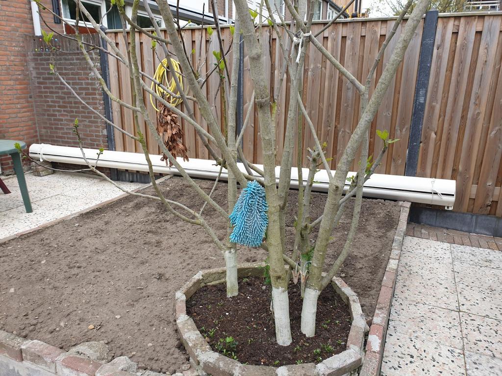 Zonnescherm 5.5 meter, Tuin en Terras, Ophalen, 450 cm of meer, Zo goed als nieuw, 150 tot 300 cm