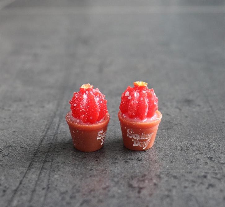 Cactus plantje in pot miniatuur nieuw 1:12 - Model 5 - 1 st, Verzamelen, Poppenhuizen en Toebehoren, Nieuw, Decoratie, Ophalen of Verzenden