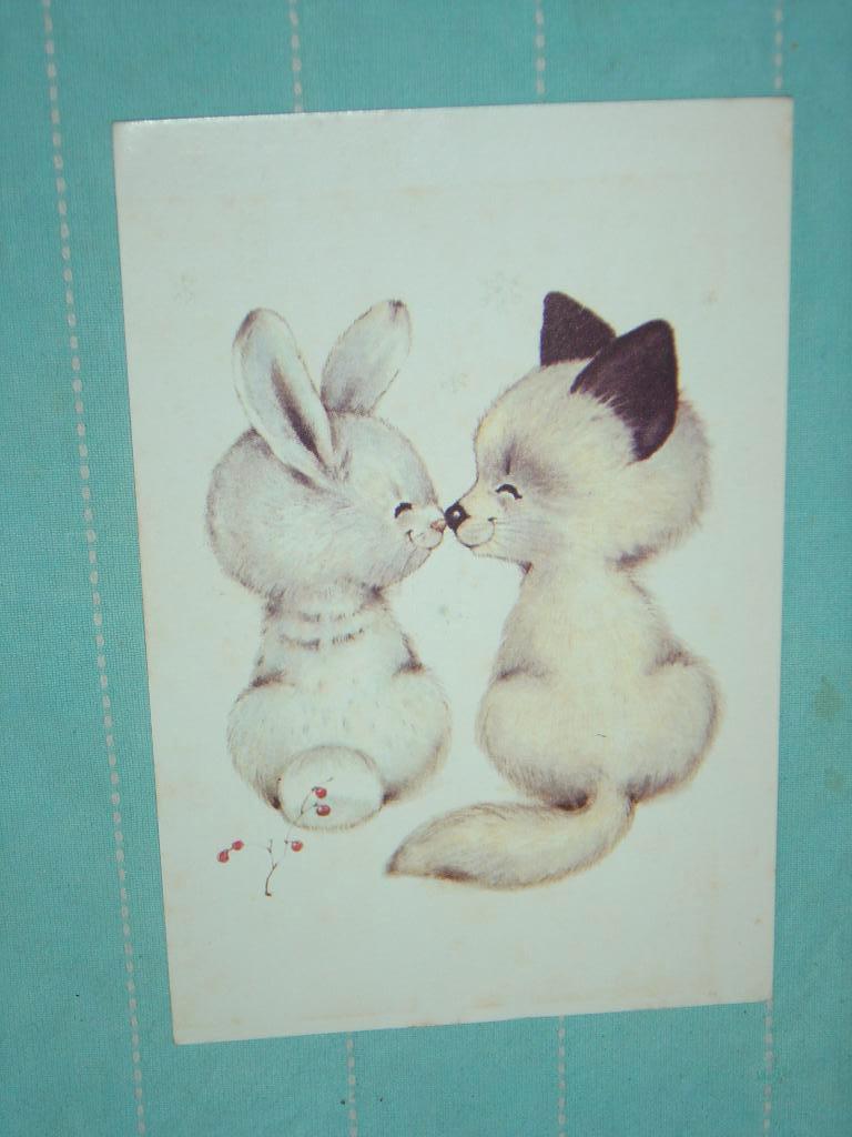 1) kleuren ansichtkaart Poezen, Ophalen of Verzenden, 1980 tot heden, Gelopen, Hond of Kat