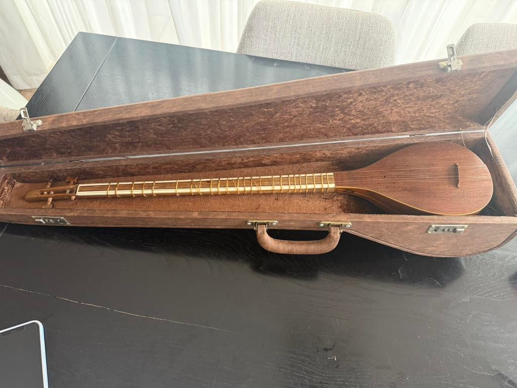 Perzische Setar (traditioneel snaarinstrument) met koffer, Muziek en Instrumenten, Ophalen of Verzenden, Zo goed als nieuw, Overige typen