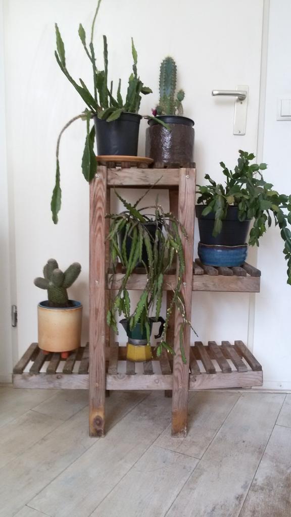 plantentafel inklapbaar hout sidetable tuin of balkon, Huis en Inrichting, Tafels | Sidetables, Ophalen of Verzenden, Gebruikt