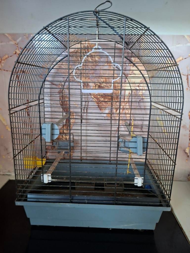 ALLEEN VANDAAG 8 EURO COMPLEET!!, Dieren en Toebehoren, Vogels | Hokken en Kooien, Ophalen, Zo goed als nieuw, Metaal, Vogelkooi