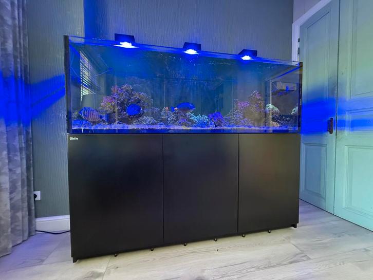 Red Sea REEFER 750 G2 zwart zeeaquarium, Dieren en Toebehoren, Vissen | Aquaria en Toebehoren, Gebruikt, Gevuld zeewateraquarium