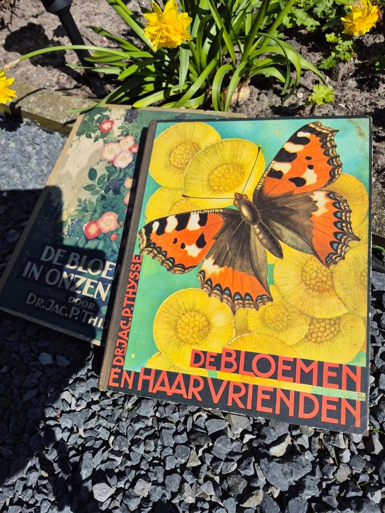 2 Antieke/vintage boeken, Boeken, Prentenboeken en Plaatjesalbums, Ophalen of Verzenden, Gelezen