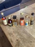 Zes Miniaturen Likeur - Diverse Smaken, Verzamelen, Ophalen of Verzenden, Gebruikt, Frankrijk