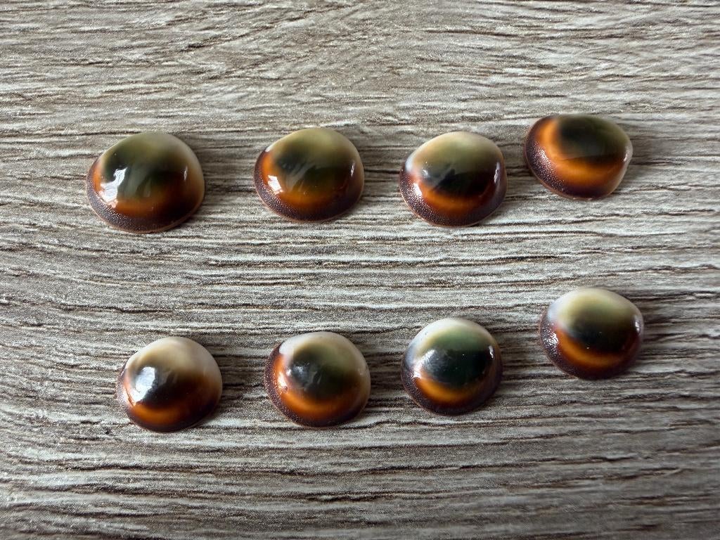 Nog 8 Mata Bias van het eiland Supiori bij Biak. € 10,00 p, Ophalen of Verzenden, Schelp(en)