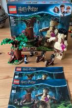 LEGO Harry Potter Verboden Bos Omber Ontmoeting Groemp 75967, Ophalen, Zo goed als nieuw, Complete set, Lego