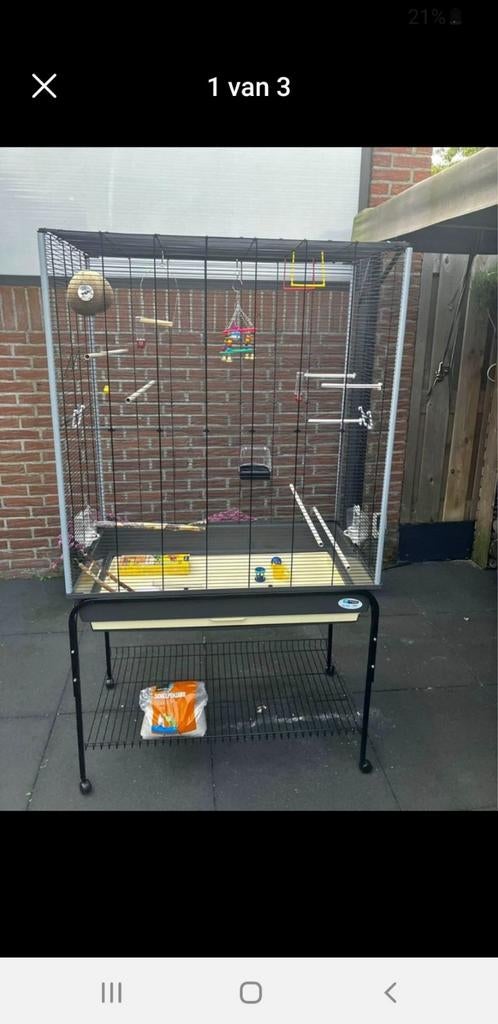 Kamer vogel kooi met rolletjes ., Ophalen, Zo goed als nieuw, Metaal, Vogelkooi