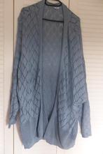 Leuk lang voorjaarsvest, Ophalen of Verzenden, Zo goed als nieuw, Maat 46/48 (XL) of groter, Blauw