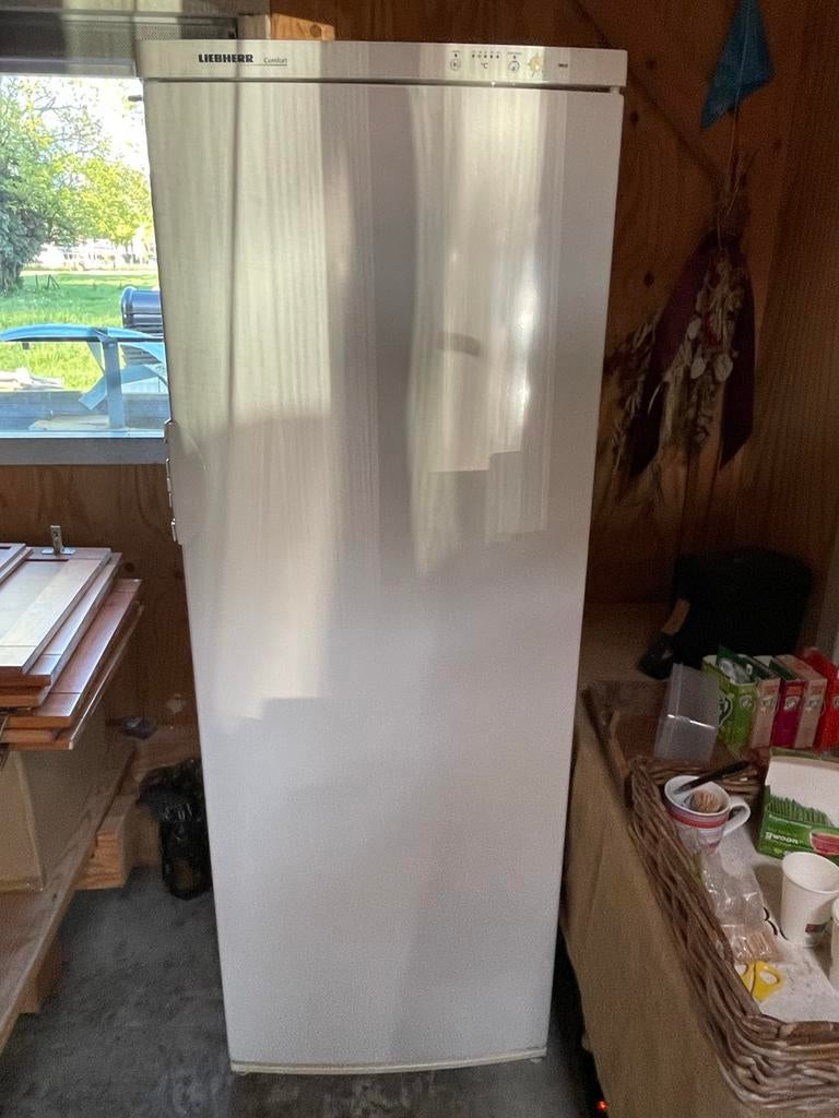 Grote Liebherr ijskast - Goed werkend, Witgoed en Apparatuur, Koelkasten en IJskasten, Ophalen, 200 liter of meer, 60 cm of meer