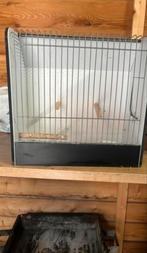 TRANSPORT KOOİ VOOR VOGELS !!, Ophalen, Hout, Vogelkooi