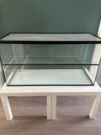 Gerbilarium / Terrarium, Kooi, Gebruikt, 75 tot 110 cm, Ophalen