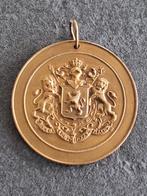 hangpenning minister van volksgezondheid en gezin (België), Ophalen of Verzenden, Brons, Buitenland