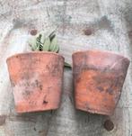 Oud Hollandse terracotta bloempotten kwaliteit authentiek, Gebruikt, Rond, Ophalen of Verzenden, Balkon