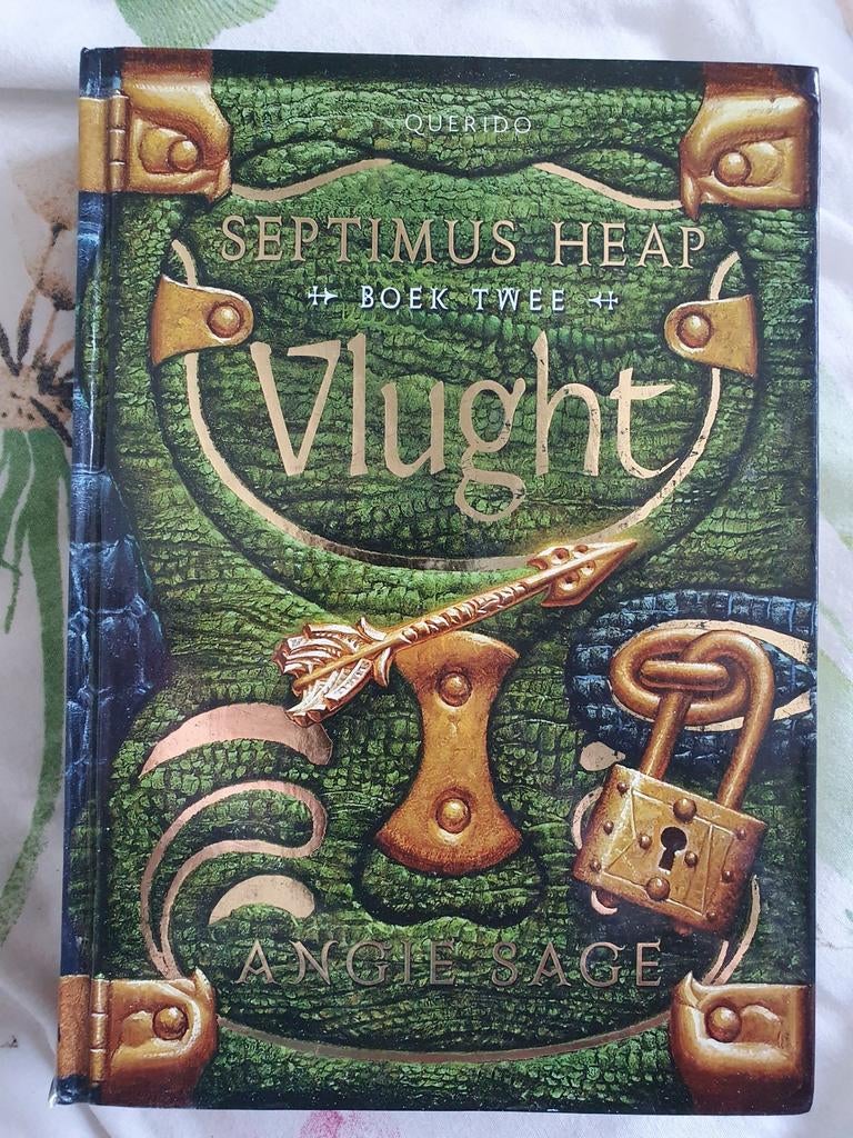 Septimus Heap: Vlught (deel 2)- Angie Sage hardcover, Boeken, Ophalen of Verzenden, Gelezen, Angie Sage