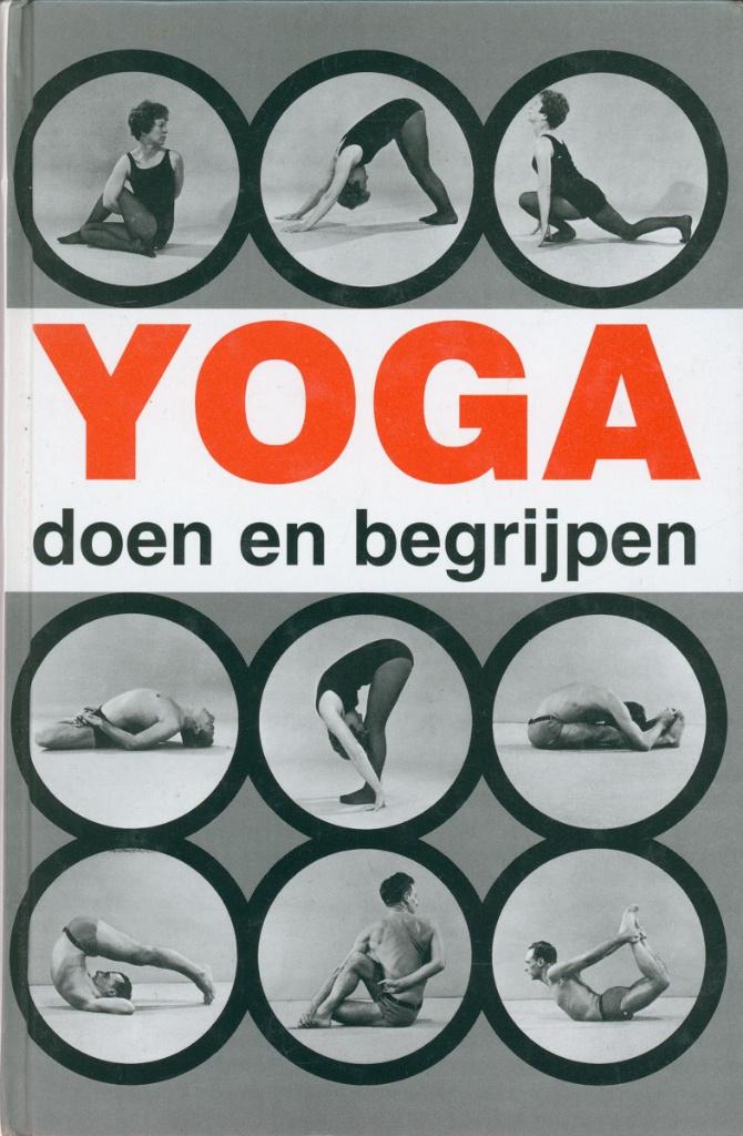ANDRÉ VAN LYSEBETH YOGA DOEN EN BEGRIJPEN, Boeken, Verzenden, Zo goed als nieuw, Meditatie of Yoga, Instructieboek