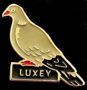 Duif pin- Luxey, Verzenden, Nieuw, Dier of Natuur, Speldje of Pin