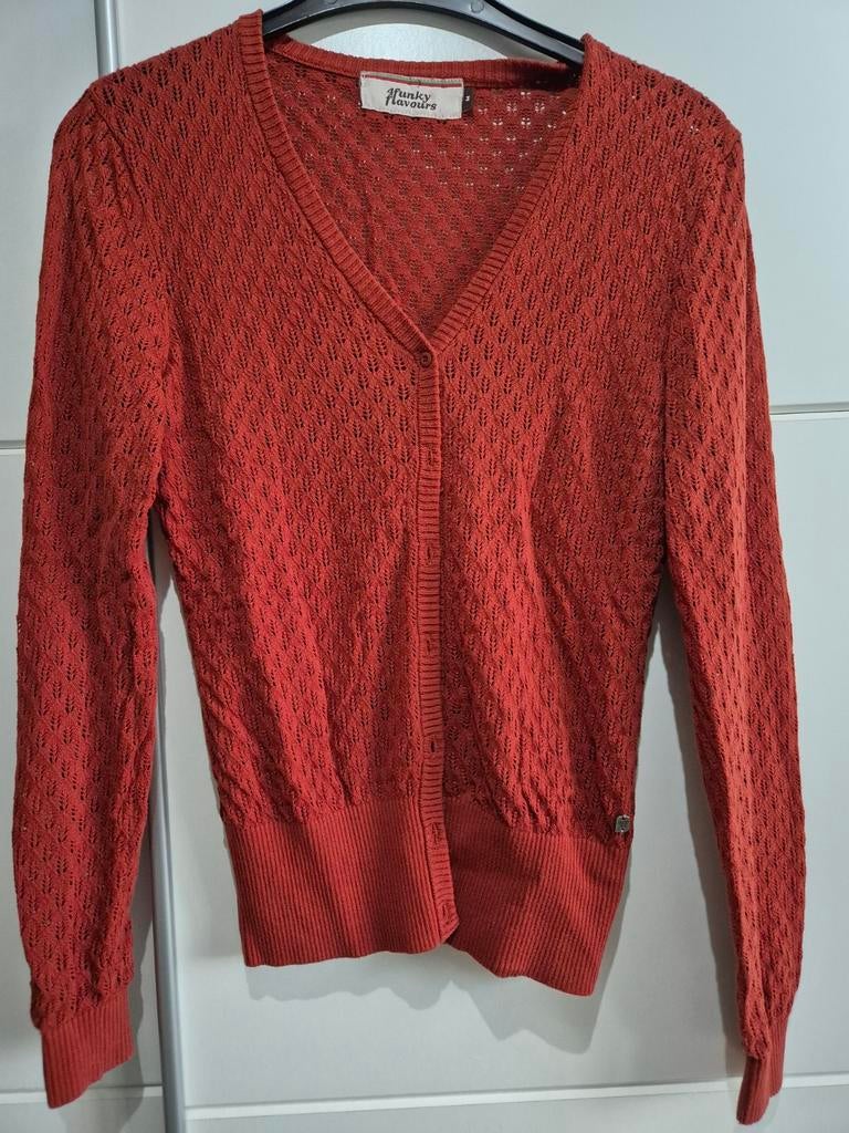 Mooi vestje van funky flavours M, Funky Flavours, Ophalen of Verzenden, Zo goed als nieuw, Maat 38/40 (M)