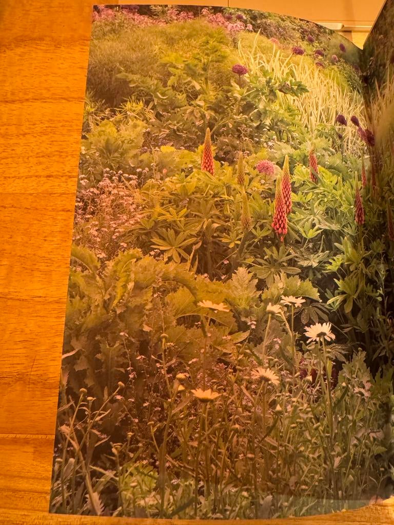 Planten Combineren - Ontwerp zelf prachtige borders, Boeken, Wonen en Tuinieren, Ophalen of Verzenden, Nieuw, Tuinieren en Tuinplanten