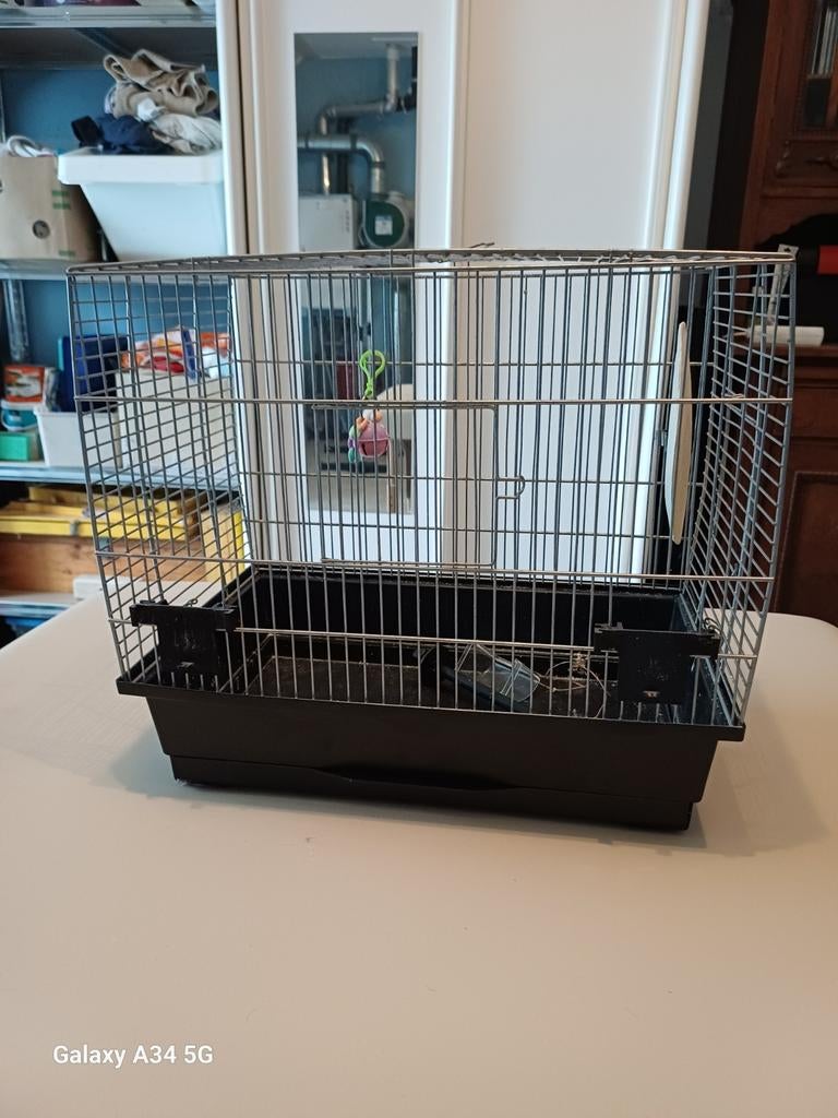 Vogel kooi, Dieren en Toebehoren, Ophalen, Metaal, Vogelkooi