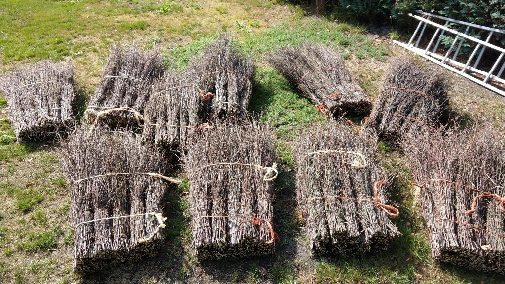 Stalbezems Heksenbezems Rijsbezems Halloween, Tuin en Terras, Hand-tuingereedschap, Ophalen, Nieuw, Bezem