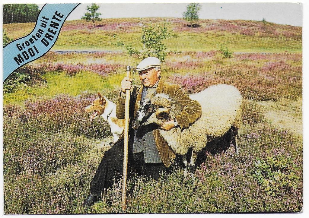 Drenthe gelopen Ansichtkaart (B2474 ), Ophalen of Verzenden, 1980 tot heden, Gelopen, Drenthe