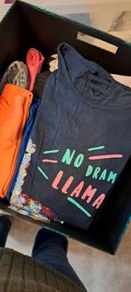 Leuke T-shirts voor meisjes, maat 158/164, Kinderen en Baby's, Kinderkleding | Overige, Ophalen of Verzenden, Meisje