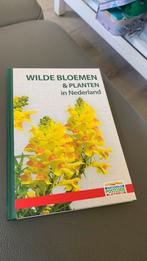 Postcode  boekje wilde bloemen en planten, Ophalen of Verzenden, Nieuw, Bloemen, Planten en Bomen