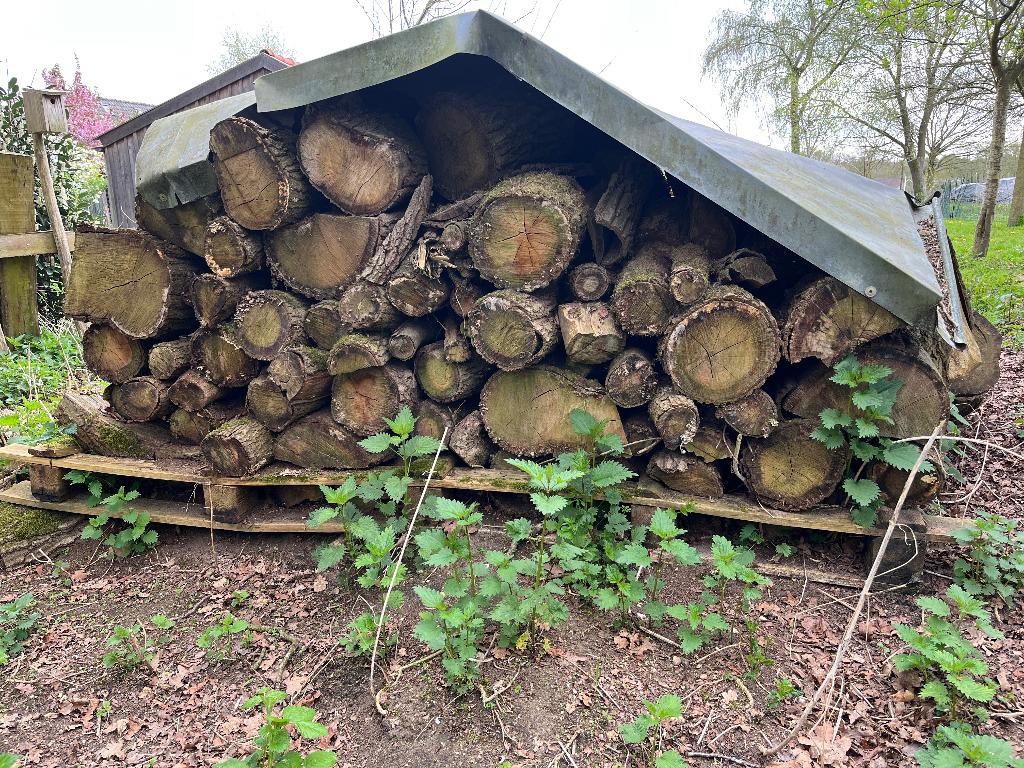 eikenhout, Tuin en Terras, Haardhout, Minder dan 3 m³, Ophalen, Eikenhout, Blokken