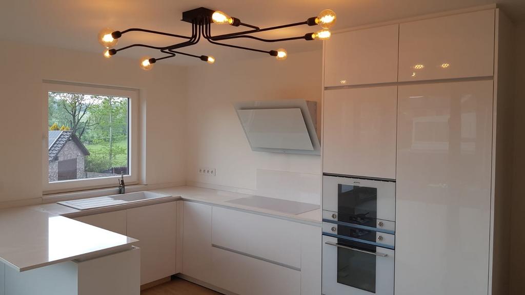 Zwarte plafondlamp met 8 armen, Ophalen, Gebruikt, Metaal