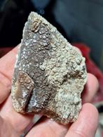 COLA-CALCIET (=UV), Ophalen of Verzenden, Mineraal