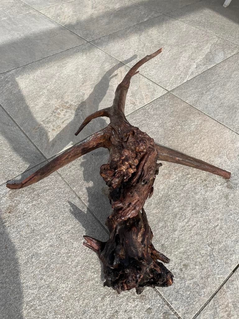 Aquarium hout 100x70x25, Dieren en Toebehoren, Vissen | Aquaria en Toebehoren, Ophalen, Zo goed als nieuw, Plant(en), Steen of Hout