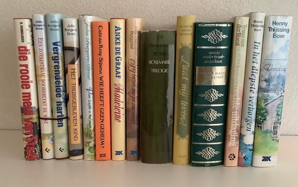 Doos met ong. 14 streekromans w.o.3 trilogieën., Ophalen of Verzenden, Gelezen, Noord-Brabant