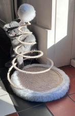 Nog twee lieve en prachtige Britse korthaar katertjes., Kater, Ontwormd, 0 tot 2 jaar